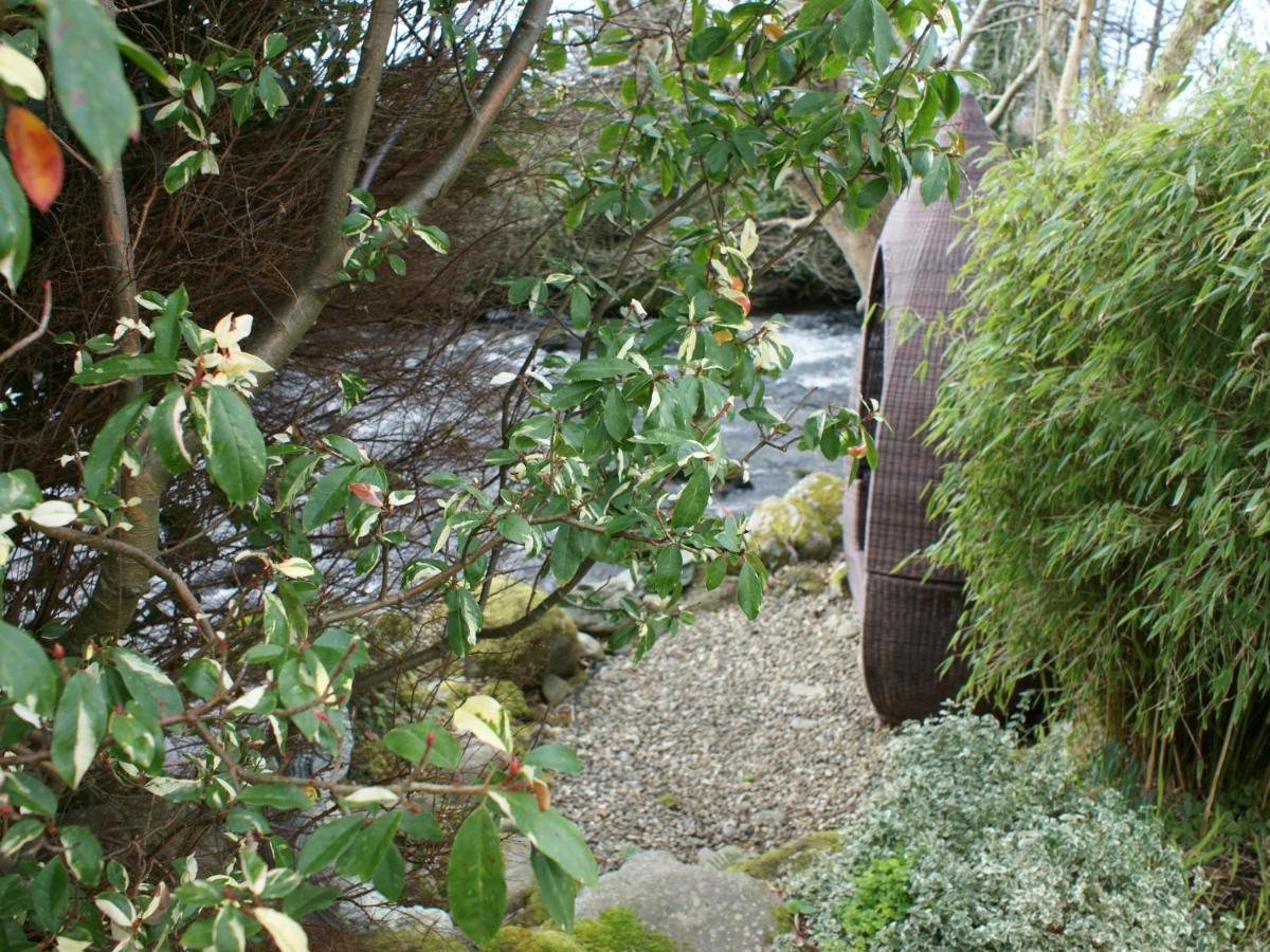 Talybont Bed And Breakfast Barmouth Exterior photo